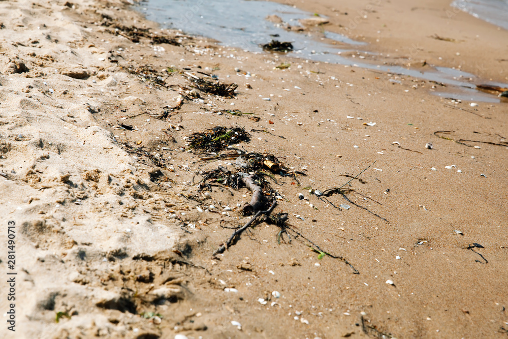 Polluted beach, environmental pollution concept