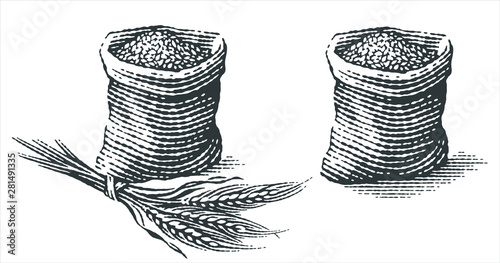 Malt in burlap bag with bunch of dry ears. Hand drawn engraving style illustrations.