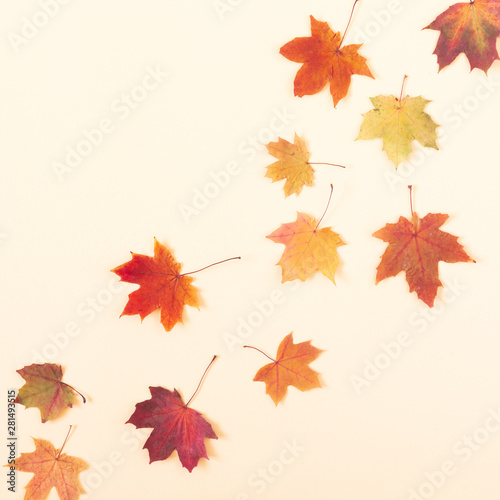 Autumn creative composition. Beautiful dried leaves on beige background. Fall concept. Autumn background. Flat lay  top view  copy space