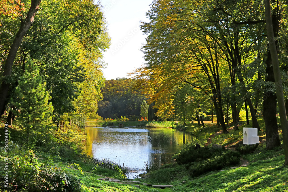 Pond with ducks in autumn park 