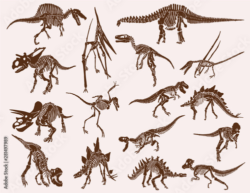 Vintage set of  dinosaur skeletons ,graphical vector illustration