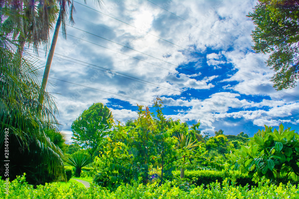 Beautiful view of the garden with a big blue sky and clouds