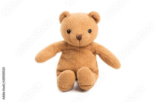 toy little bear isolated
