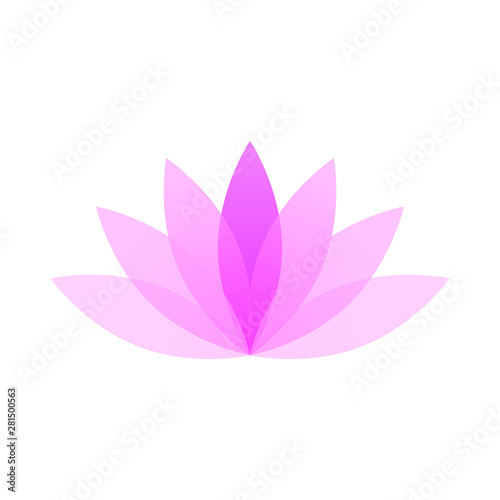 modern minimalist lotus lily flower 