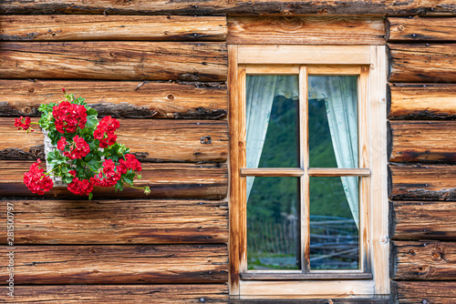 A fragment of a wooden alpine house. The wall made of logs  window and red flowers hanging on the wall