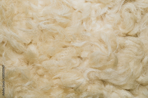 White shaggy fur texture background. beige wool