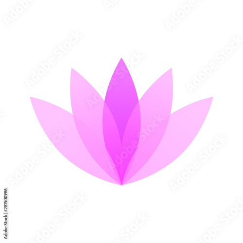 modern minimalist lotus lily flower 