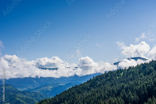 Black Sea turkey and green pine trees forest landscape with blue cloudy sky