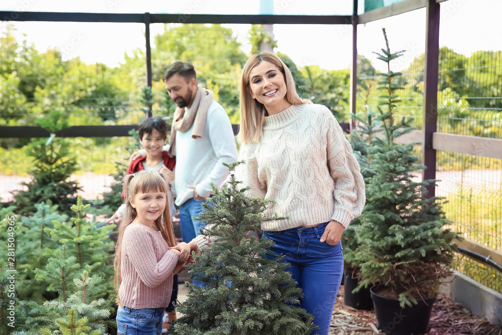 Family choosing Christmas tree in greenhouse Family choosing Christmas tree in greenhouse