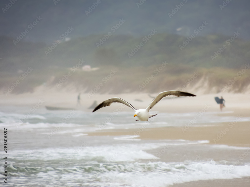 A seagull flying over the surf of the beach with spread wings and a background composed of a green hill and a woman surfer on the sand with a bodyboard A seagull flying over the surf of the beach with spread wings and a background composed of a green hill and a woman surfer on the sand with a bodyboard
