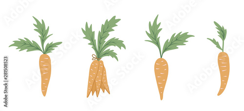 Vector set of cartoon style carrots. Flat simple illustration with root vegetables. Clip art for children’s design..