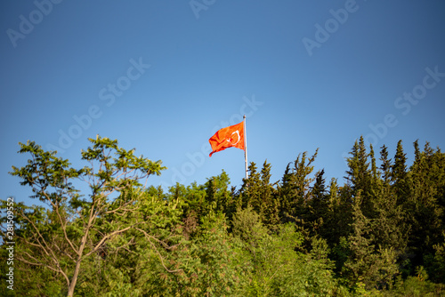 turkish flag rising from the forest