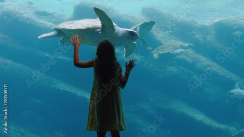 little girl at aquarium watching sea turtle swimming in tank curious child having fun watching fish swimming kid looking at marine life in oceanarium aquatic habitat 