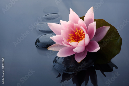 Fototapeta Naklejka Na Ścianę i Meble -  Spa still life with water lily and zen stone in a serenity pool