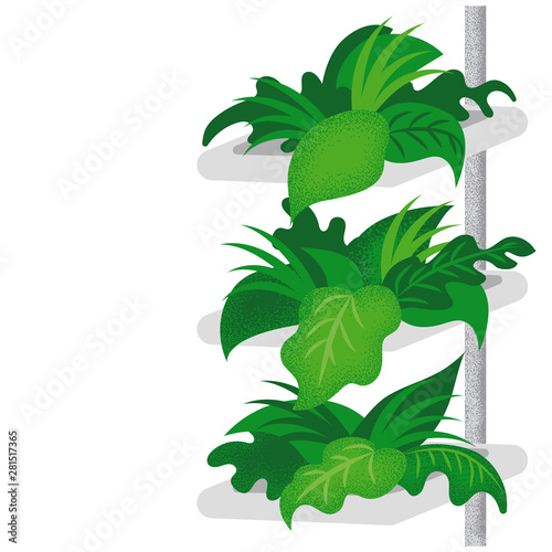 Vertical farming flat style illustration