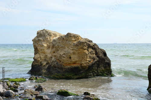 Fototapeta Naklejka Na Ścianę i Meble -  Small rock on the sea beach with some seaweed on it