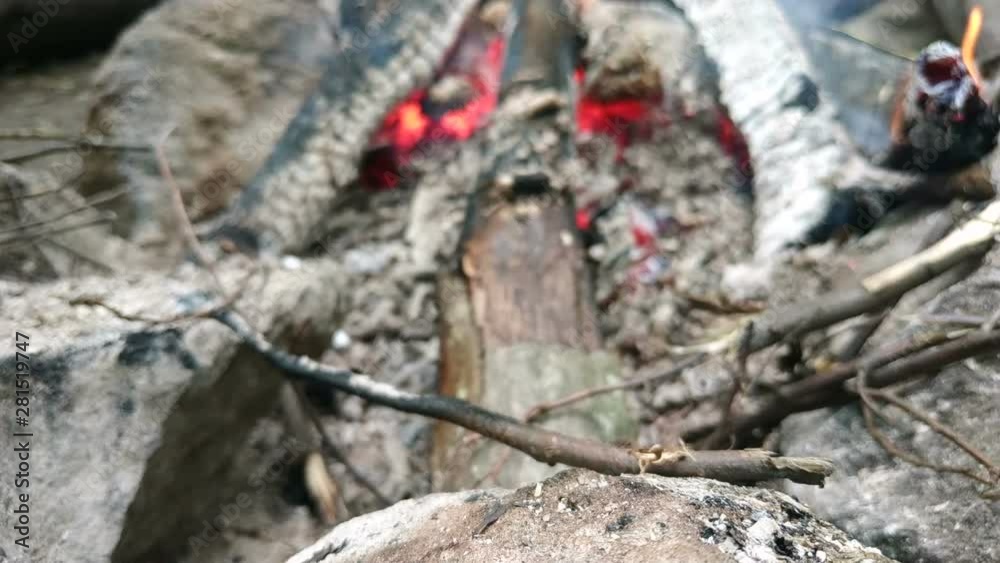 Burning Fire In The Fireplace with twigs Burning Fire In The Fireplace with twigs