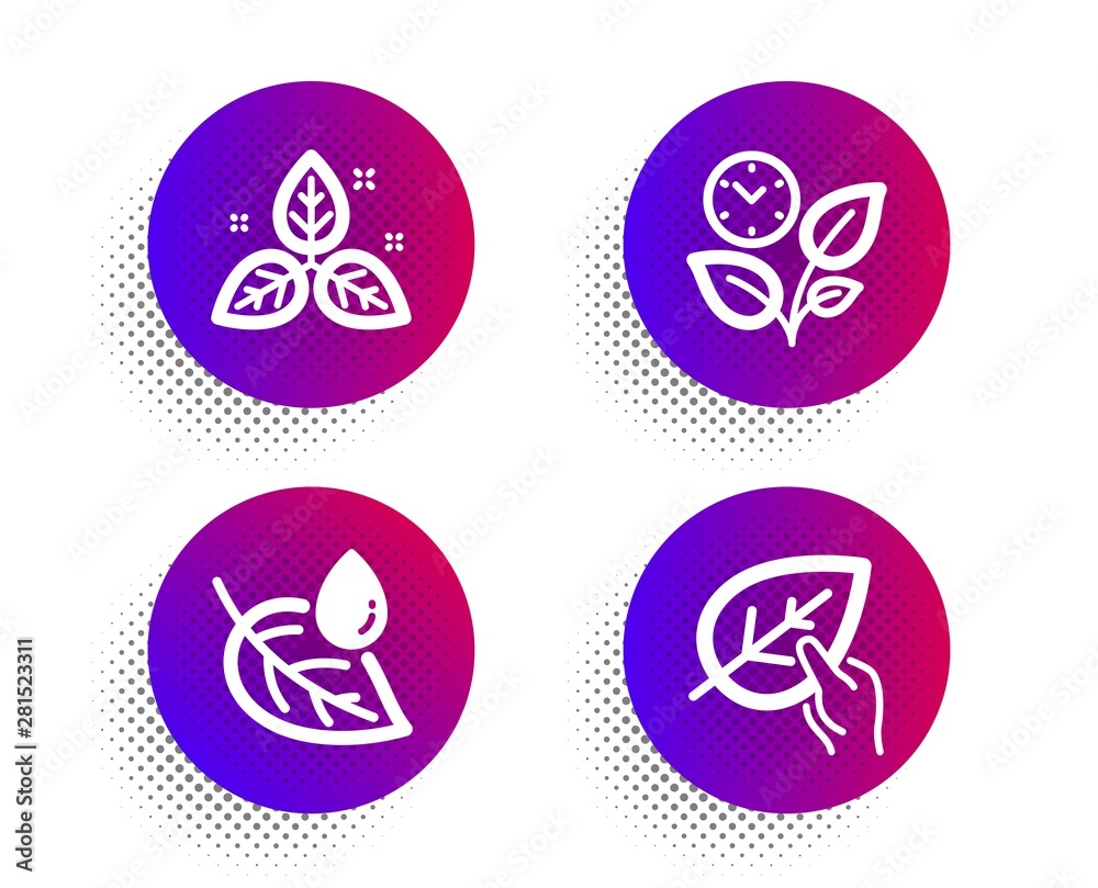 Leaf dew, Fair trade and Leaves icons simple set. Halftone dots button. Organic tested sign. Water drop, Leaf, Grow plant. Paraben. Healthcare set. Classic flat leaf dew icon. Vector Leaf dew, Fair trade and Leaves icons simple set. Halftone dots button. Organic tested sign. Water drop, Leaf, Grow plant. Paraben. Healthcare set. Classic flat leaf dew icon. Vector