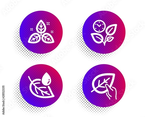 Leaf dew, Fair trade and Leaves icons simple set. Halftone dots button. Organic tested sign. Water drop, Leaf, Grow plant. Paraben. Healthcare set. Classic flat leaf dew icon. Vector