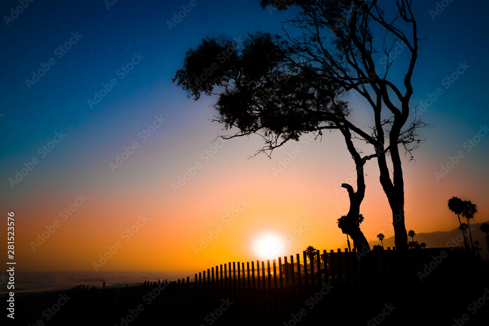 Tree silhouetted by the sunset