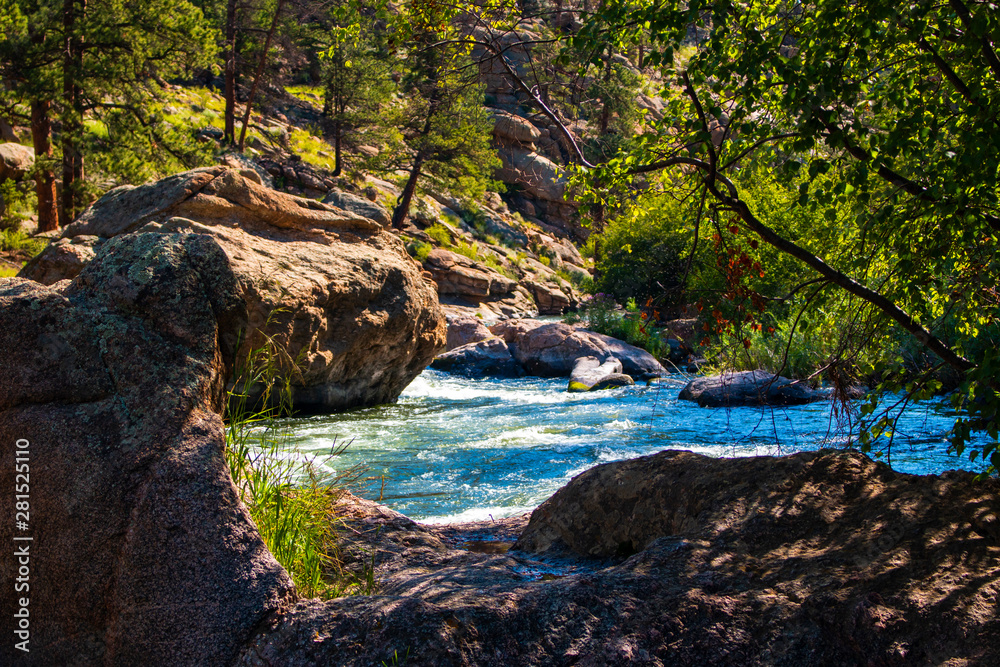 Whitewater at the headwaters of the South Fork of the South Platte River in Eleven Mile Canyon Colorado - obrazy, fototapety, plakaty 
