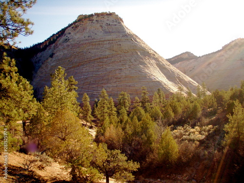 Checkerboard Mesa in Zion photo