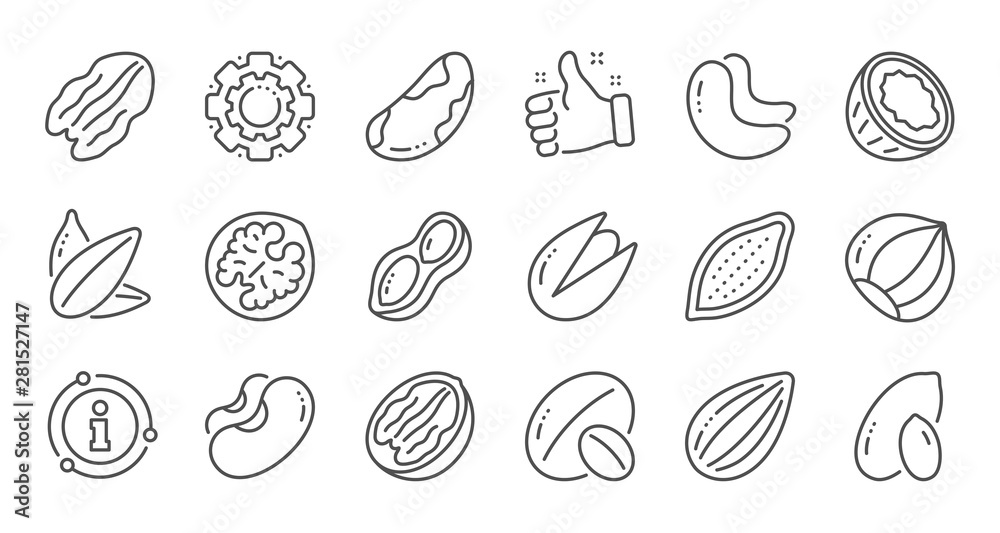 Nuts and seeds line icons. Hazelnut, Almond nut and Peanut. Sunflower seeds, Brazil nut, Pistachio icons. Walnut, Coconut and Cashew nuts. Linear set. Quality line set. Vector