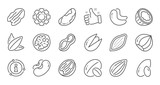 Nuts and seeds line icons. Hazelnut, Almond nut and Peanut. Sunflower seeds, Brazil nut, Pistachio icons. Walnut, Coconut and Cashew nuts. Linear set. Quality line set. Vector