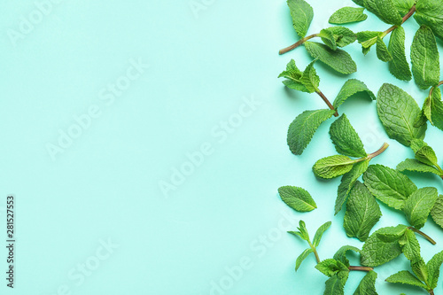 Fresh green mint leaves on blue background, flat lay. Space for text