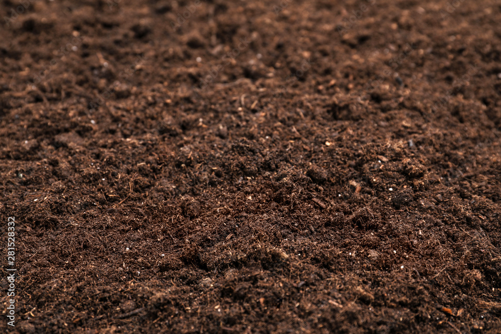 Fresh soil for gardening as background, closeup Fresh soil for gardening as background, closeup