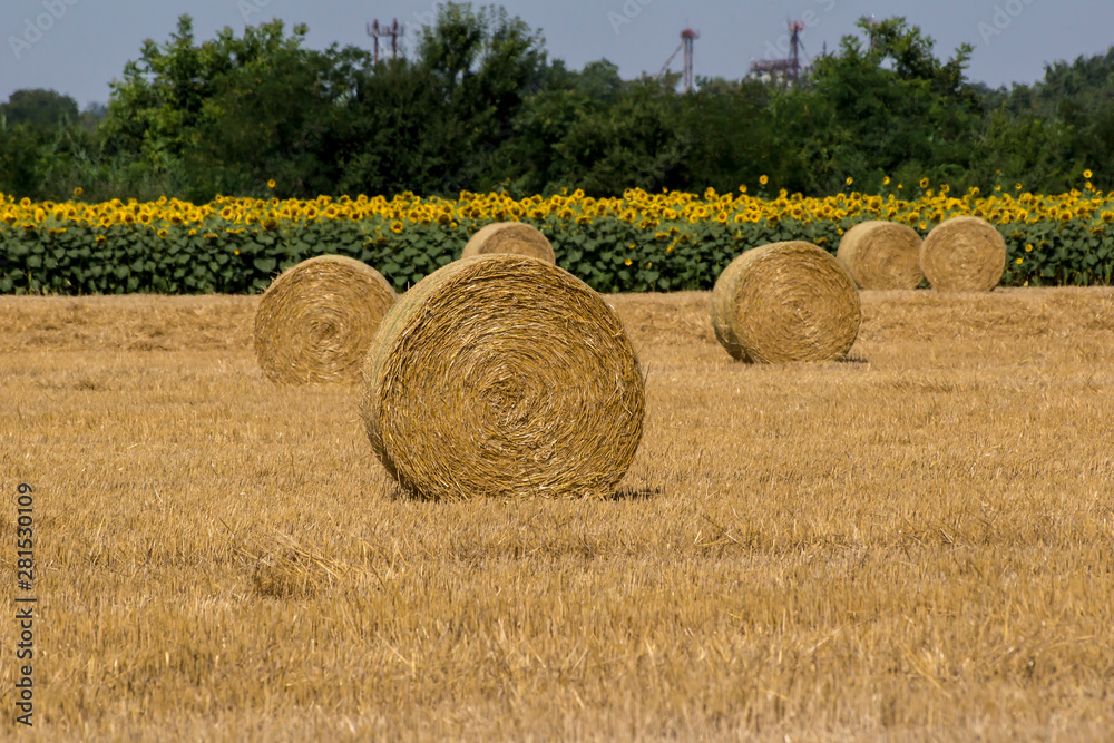 The Straw bales