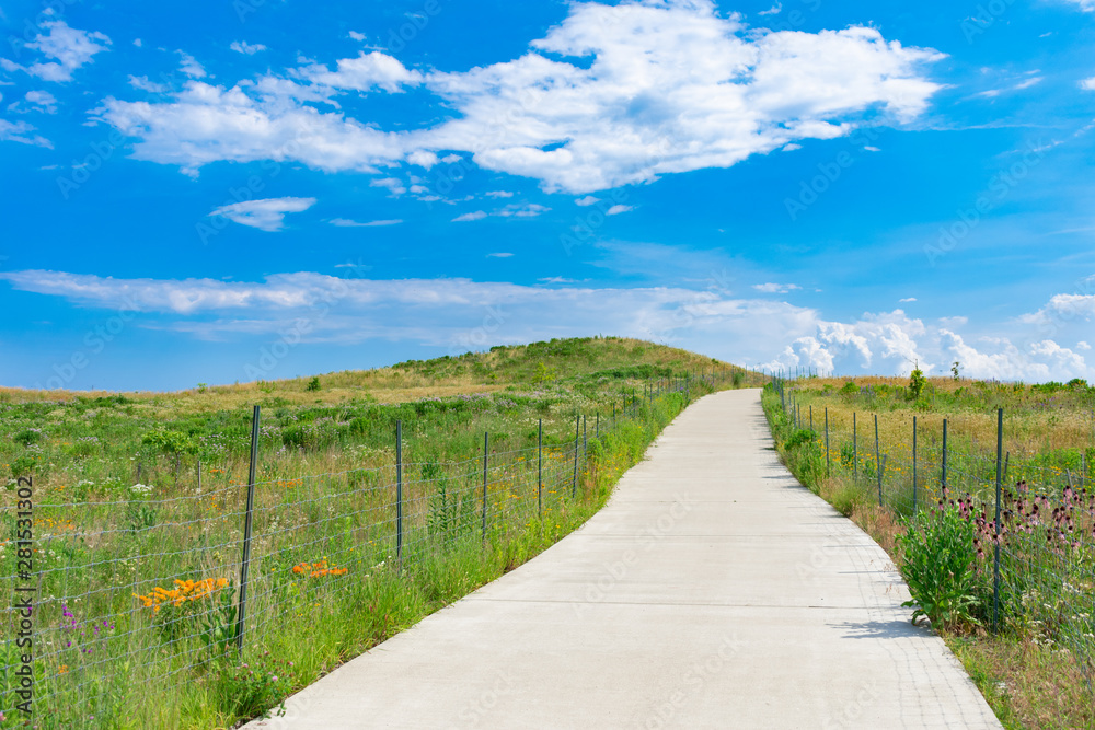Path up a Hill in a Field with Native Plants and a Blue Sky at Northerly Island in Chicago during the Summer