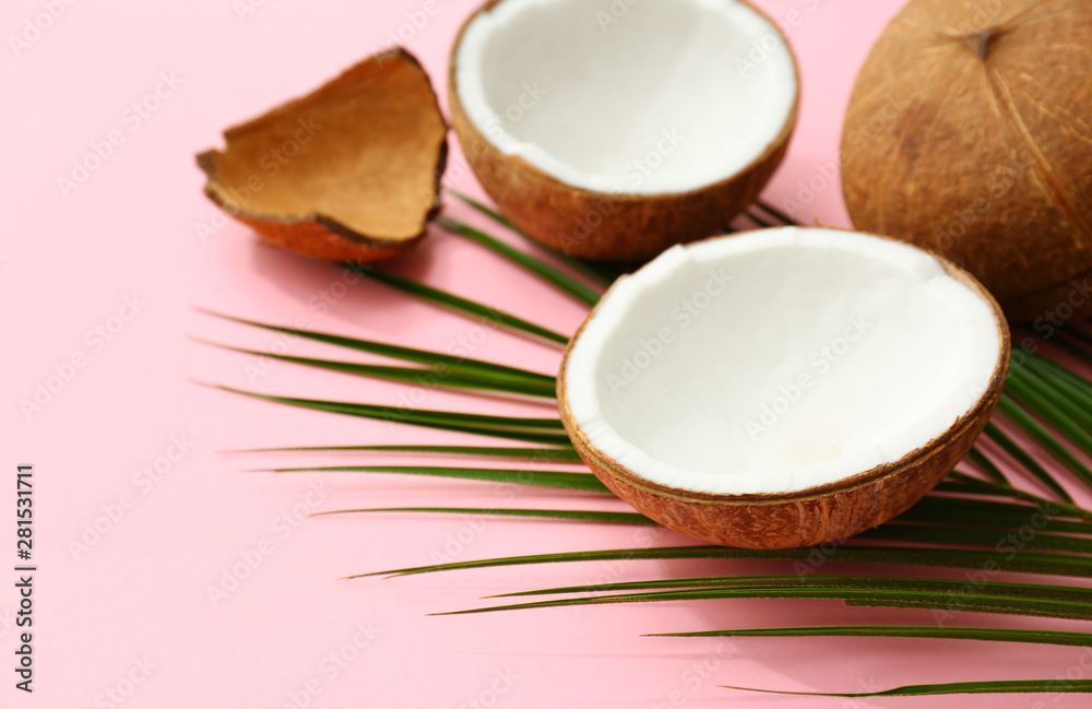 Fresh coconuts and palm leaf on pink background Fresh coconuts and palm leaf on pink background