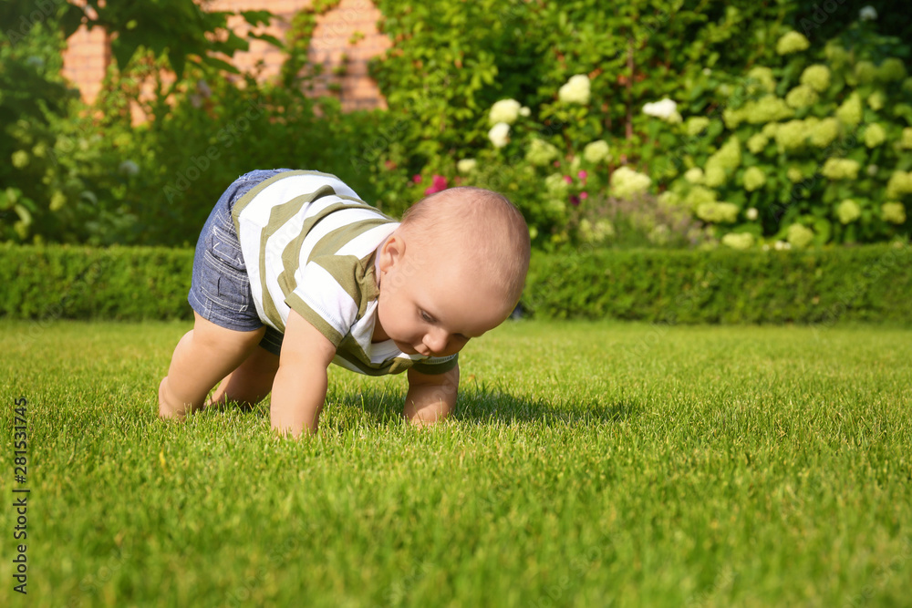 Adorable little baby crawling on green grass outdoors Adorable little baby crawling on green grass outdoors