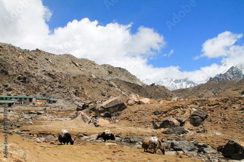 Shot from the Everest Basecamp trail in Nepal