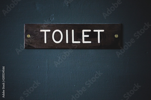 Close up of toilet sign on blue door