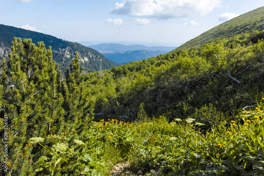 Malyoviska river Valley, Rila Mountain, Bulgaria