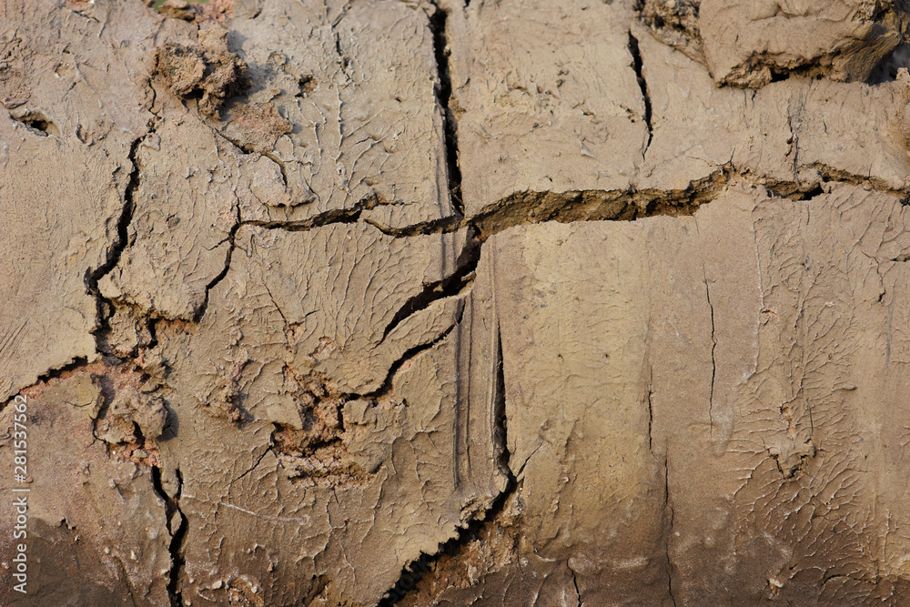 some crack on drying soil surface some crack on drying soil surface