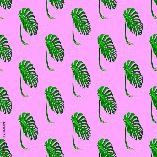 Seamless pattern. Palm leaf. Use for t-shirt, greeting cards, wrapping paper, posters, fabric print.