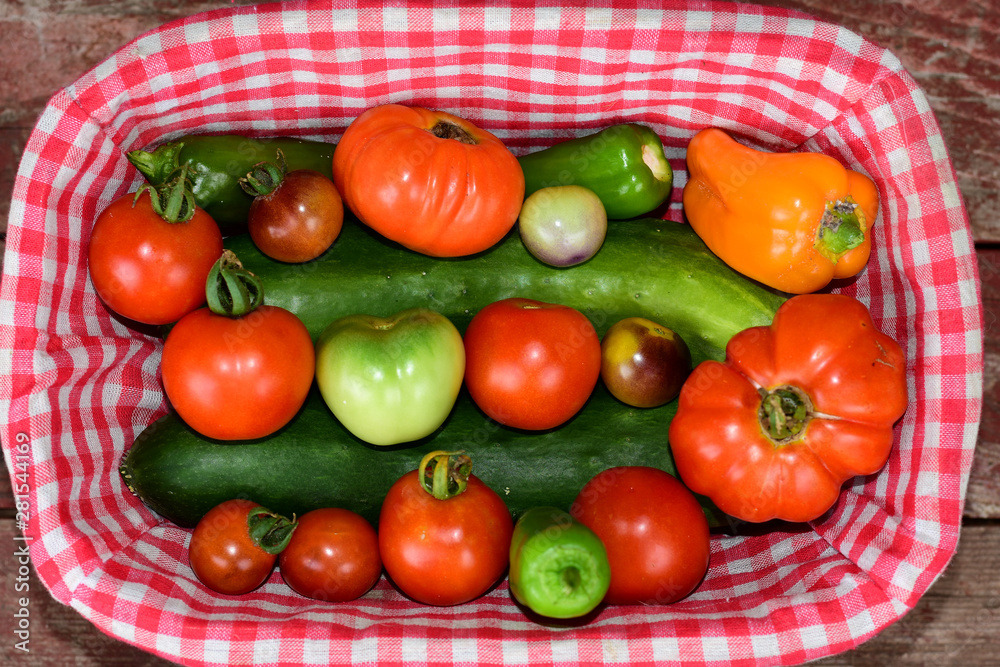 Fresh Basket Fresh Basket