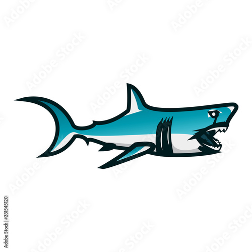 Shark vector illustration. Shark minimalist vector design with white background