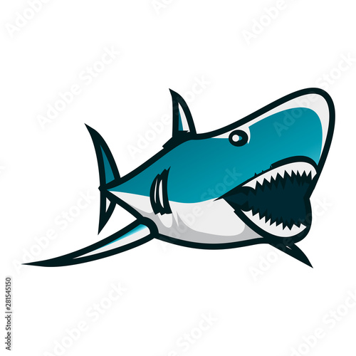 Shark vector illustration. Shark minimalist vector design with white background