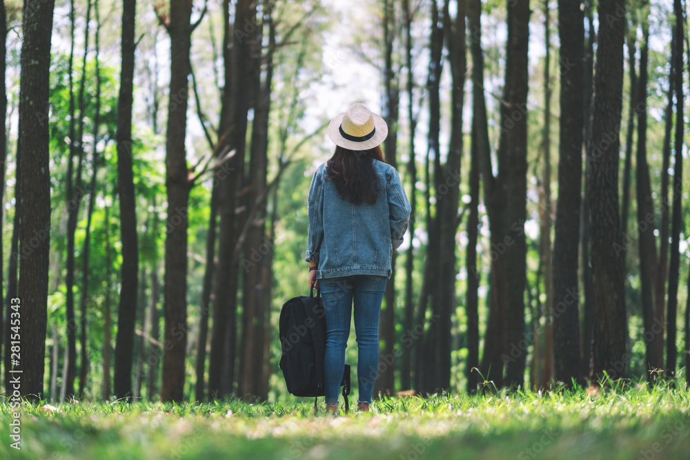 An asian female traveler with a hat and backpack standing back and looking into a beautiful pine woods An asian female traveler with a hat and backpack standing back and looking into a beautiful pine woods