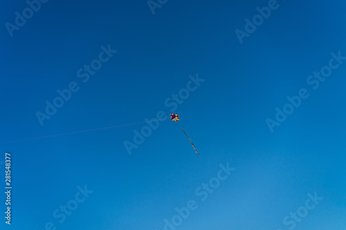 kite in the sky