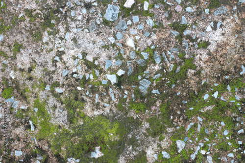 background texture: the surface of old concrete slab covered with moss or algae photo