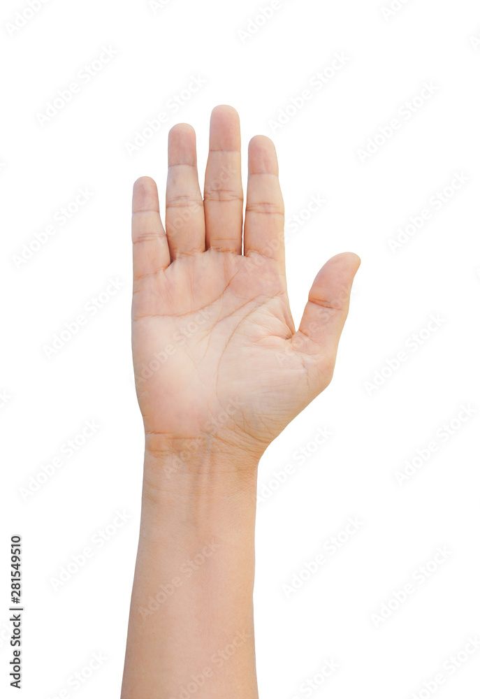 woman's right hand up isolated on white background with clipping path woman's right hand up isolated on white background with clipping path