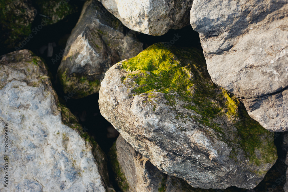 Rocks with green stuff growing on it Rocks with green stuff growing on it