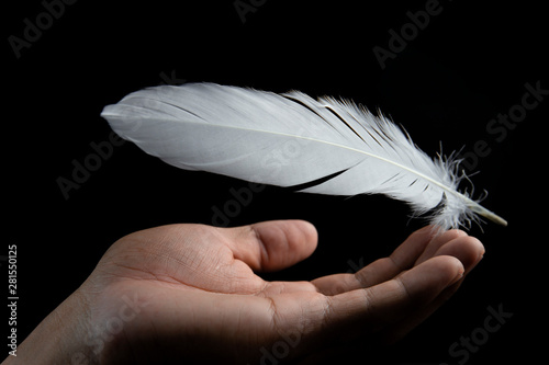 abstract lightweight of white feather bird falling down on hand photo