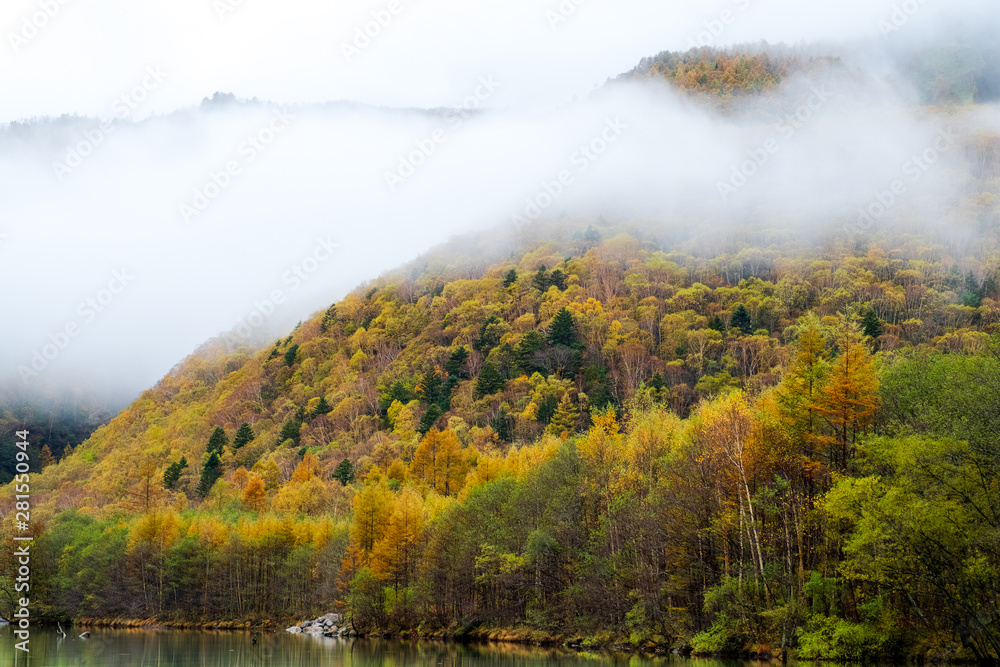 Close up mountain range in autumn with clouds at Lake Taisho, in Kamikochi national park focus on colorful pine golden trees , the Northern Alps of the Japanese Alps in Japan.
