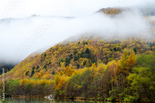 Close up mountain range in autumn with clouds at Lake Taisho  in Kamikochi national park focus on colorful pine golden trees   the Northern Alps of the Japanese Alps in Japan.